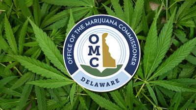 Marijuana commissioner